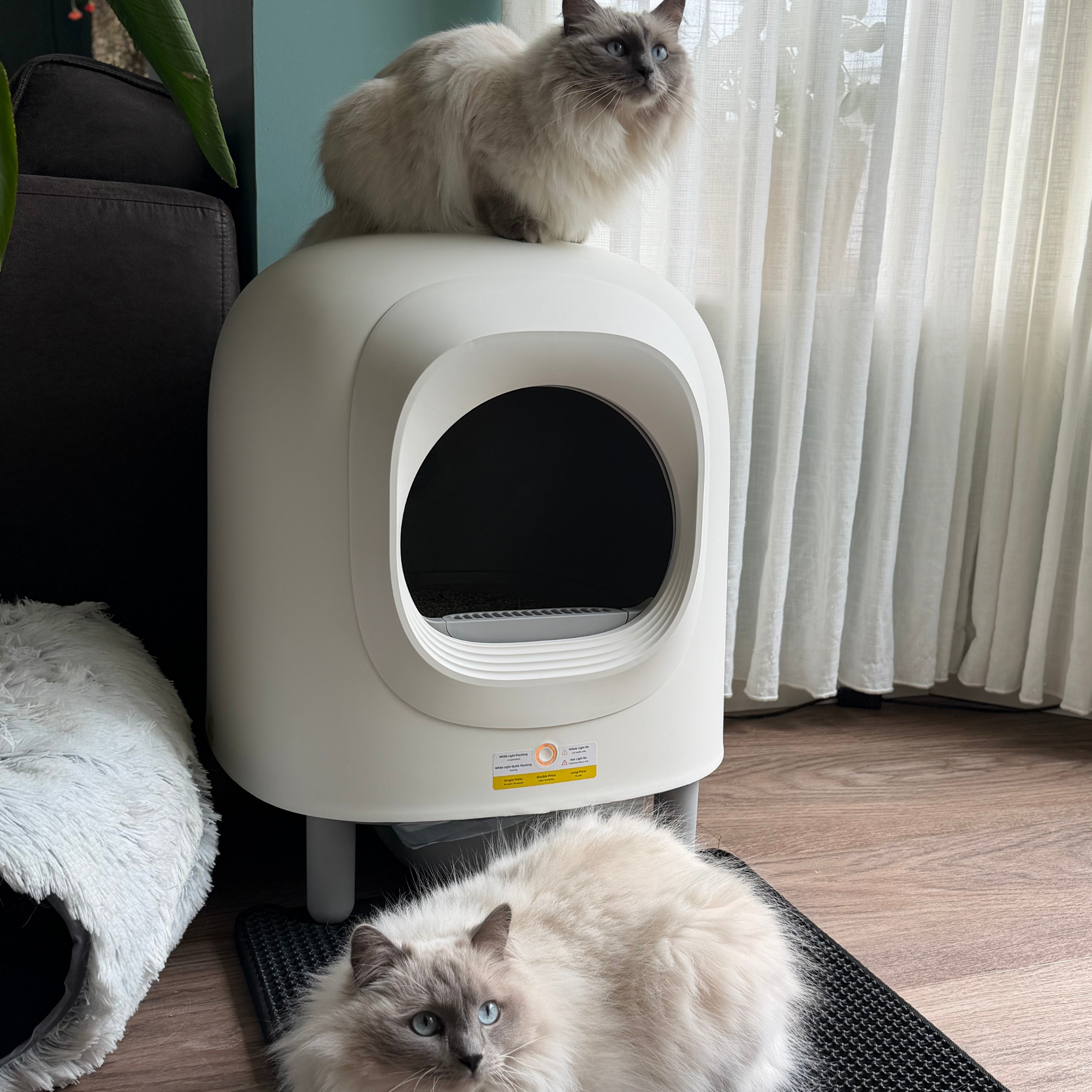 Petree Cube - Self-Cleaning Litter Box
