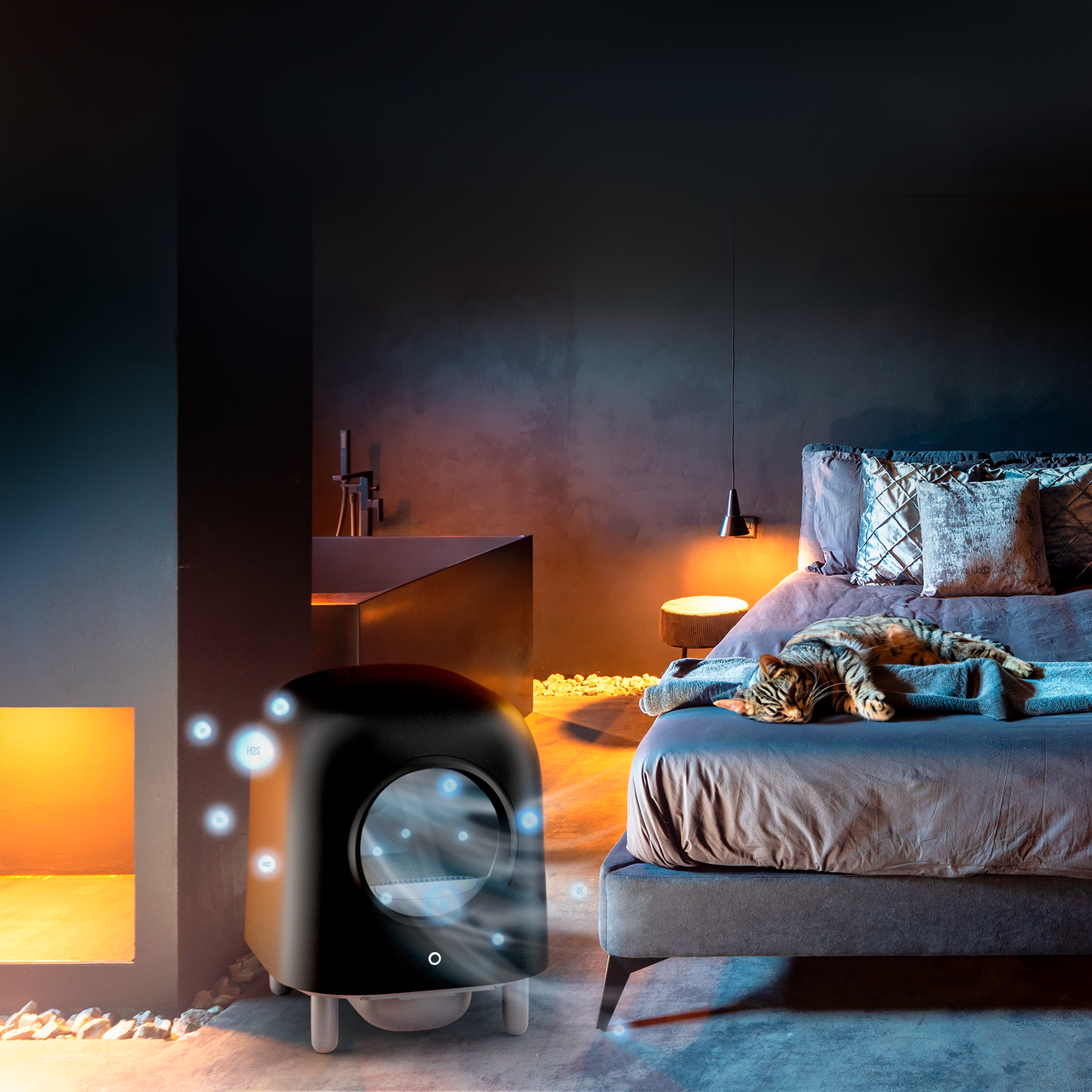 Petree Cube – Selbstreinigende Katzenklo – Black Edition