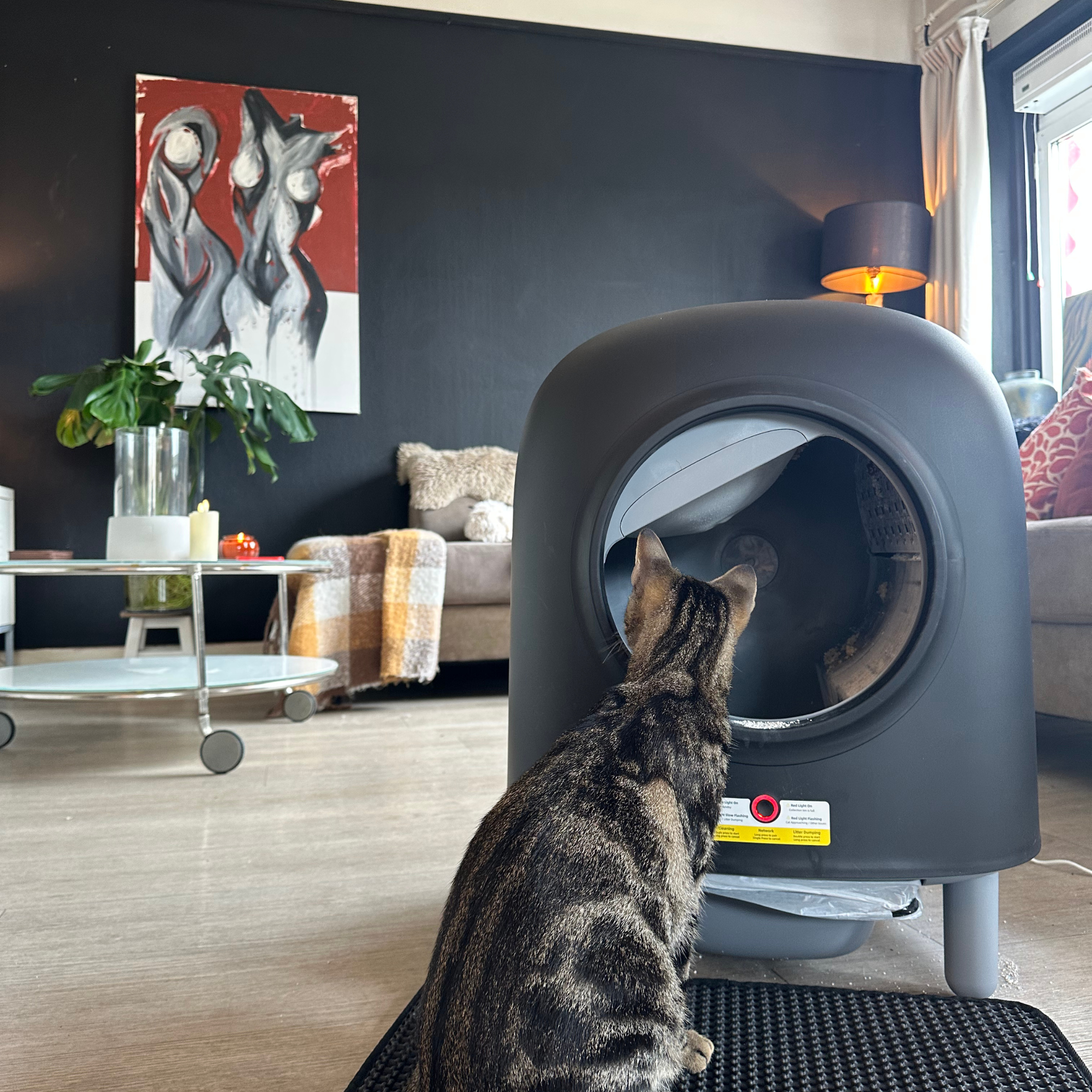 PRE-ORDER – Petree Cube – Self-Cleaning Litter Box – Black Edition