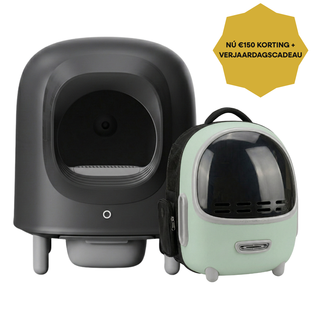 Petree Anniversary Bundle – Cube v2 Black Edition + Petree Go Mint Green