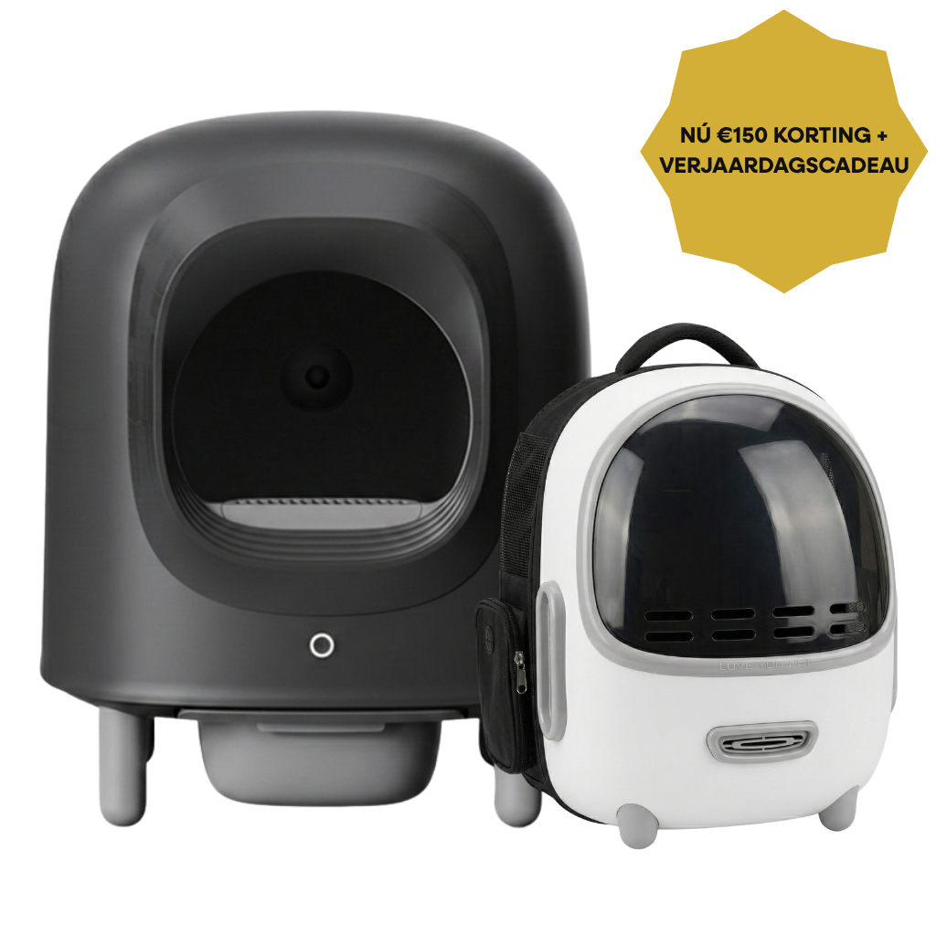 Petree Anniversary Bundle - Cube v2 Black Edition + Petree Go Wit