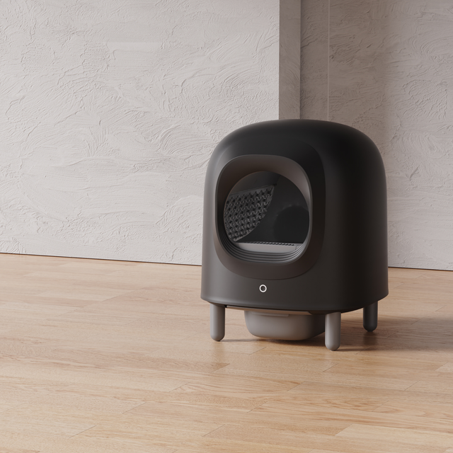 Petree Anniversary Bundle - Cube v2 Black Edition + Petree Go Wit