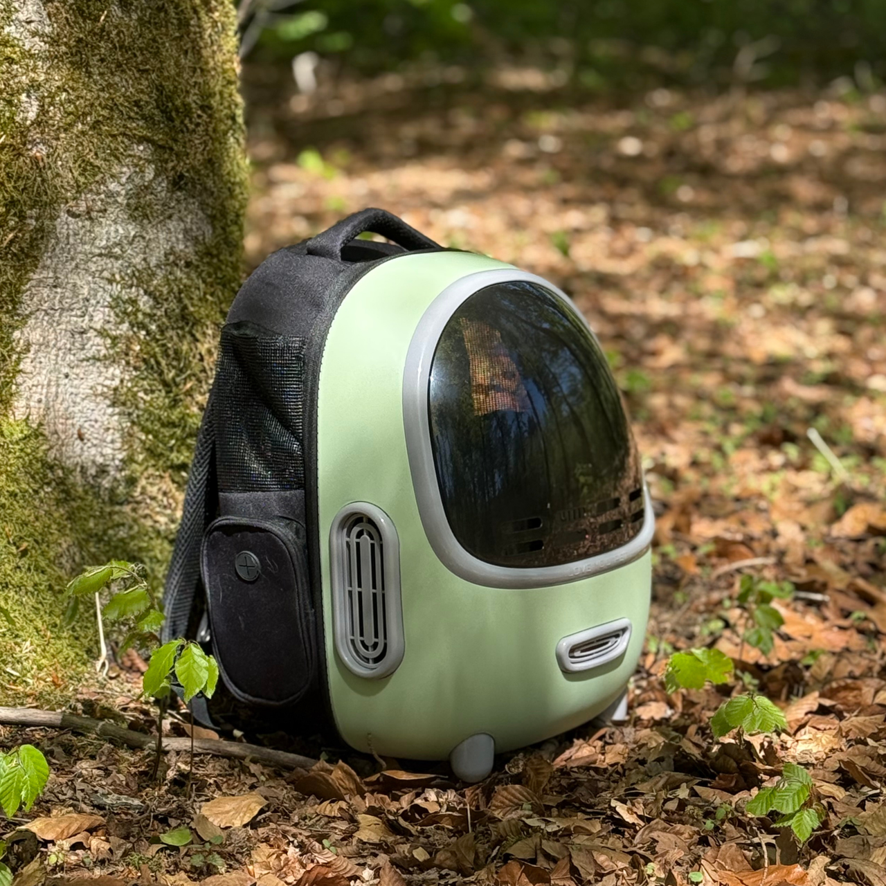 Petree Go - Slimme Reistas - Mint Groen